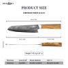 Kegani Kiritsuke Knife - 8 Inch Professional Japanese Chef's Knife, 67 Layers AUS-10 Damascus Steel Kitchen Ultra-Sharp Knife - D-Shaped Handle